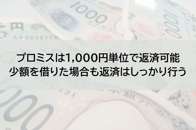 プロミスで少額を借りた場合の返済について