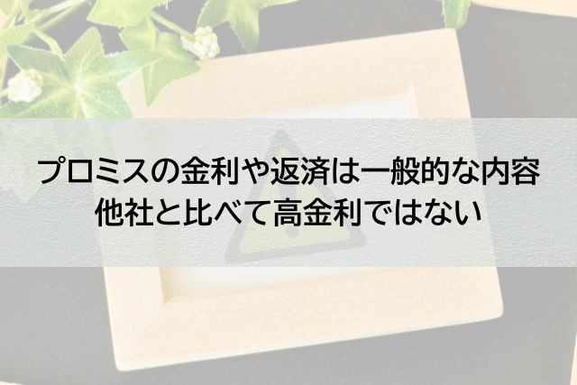 プロミスの金利と返済は消費者金融としては一般的でやばくない
