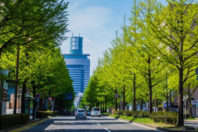 仙台銀行 カードローン